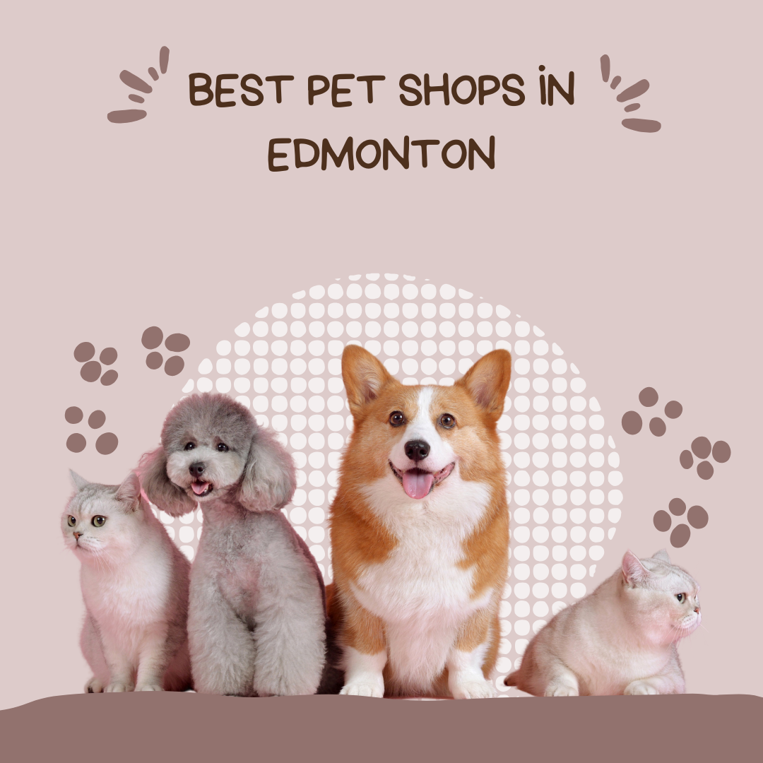 Best Pet Shops in Edmonton