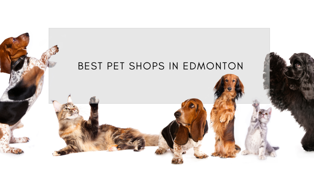 Best Pet Shops in Edmonton